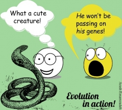 Image by Arash Emamzadeh