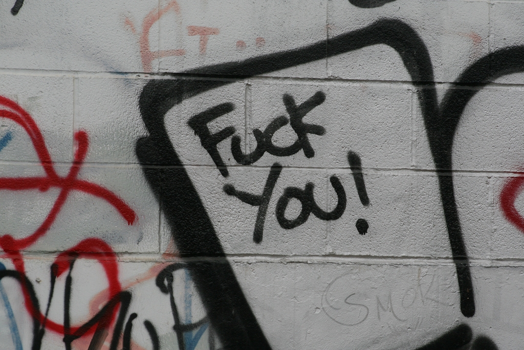 Figura 2. “Insults!”. Foto di Mauricio Balvanera, distribuita con licenza Creative Commons. http://www.flickr.com/photos/maubrowncow/ Figura 2. “Insults!”. Foto di Mauricio Balvanera, distribuita con licenza Creative Commons. http://www.flickr.com/photos/maubrowncow/